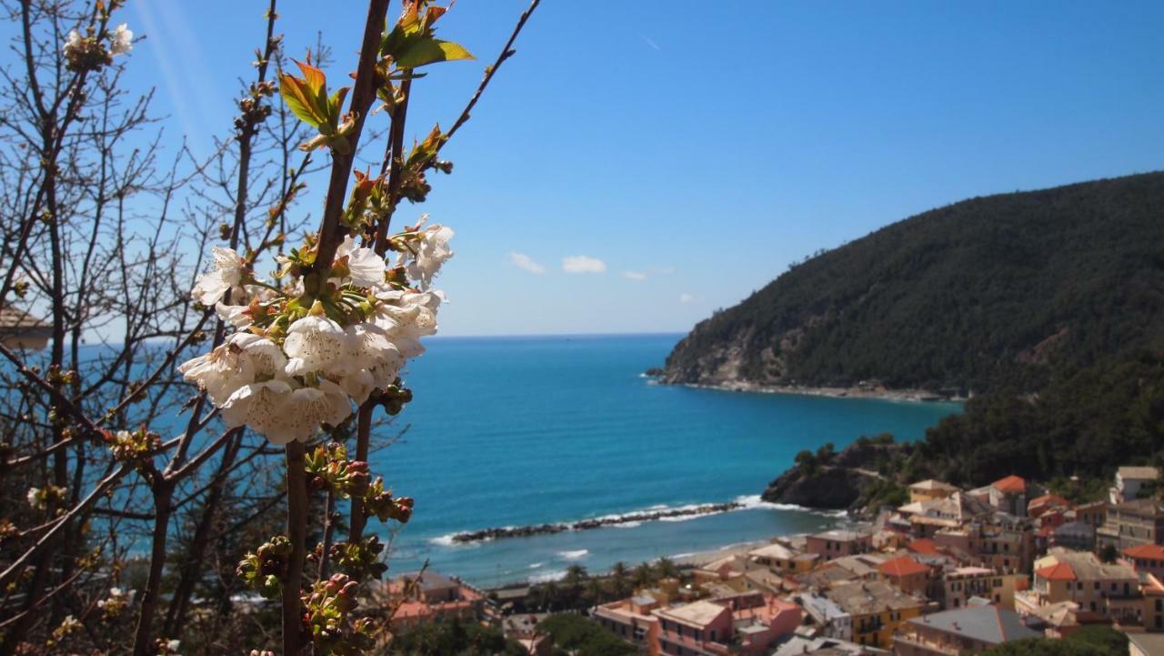 Piccolo Hotel Moneglia Eksteriør billede